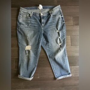Lane Bryant Blue Distressed Ankle Jeans